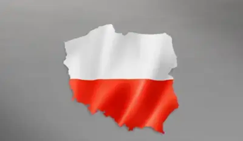 flaga państwa